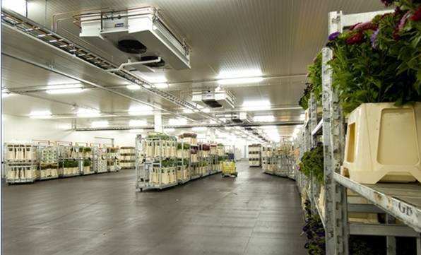 寧波建冷庫(kù)多少錢(qián)一立方？每立方能存多少貨物